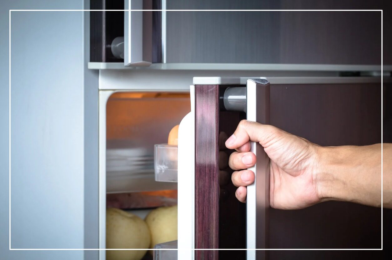 Samsung Refrigerator Fan Noise How To Fix? Solved!